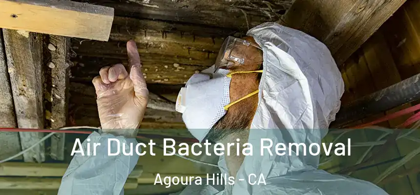  Air Duct Bacteria Removal Agoura Hills - CA