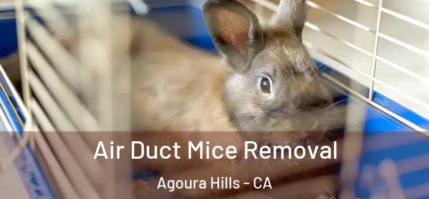 Air Duct Mice Removal Agoura Hills - CA