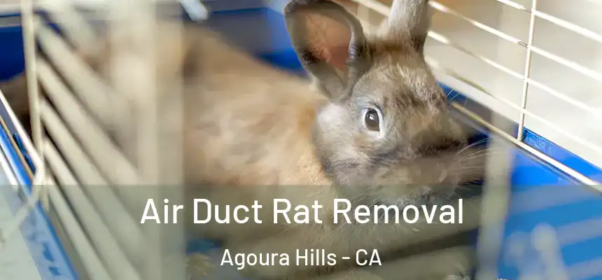  Air Duct Rat Removal Agoura Hills - CA