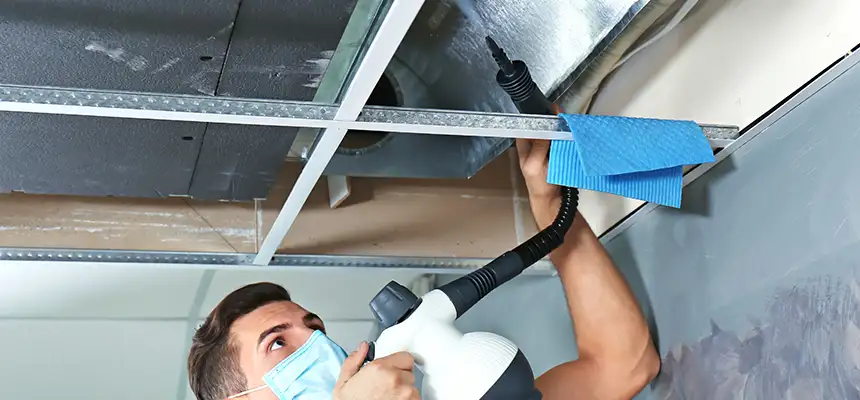 Our Air Duct Rodent Removal Services in Agoura Hills, CA
