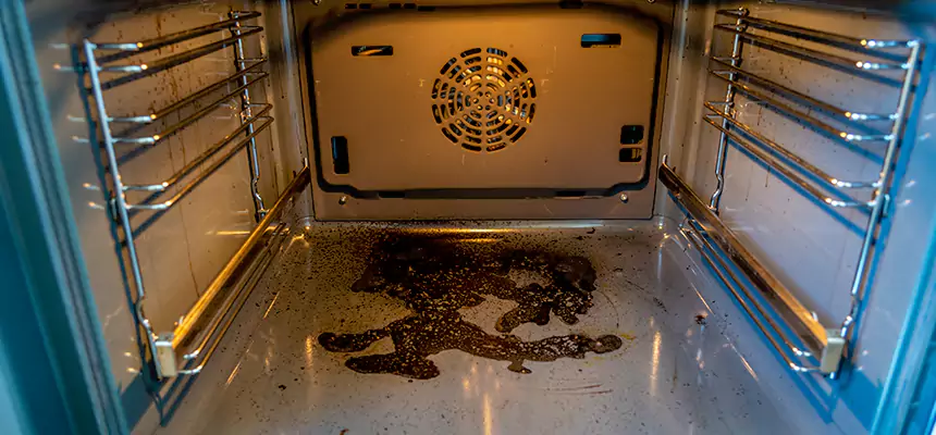 Our Dryer Vent Mold Cleaning Services in Agoura Hills, CA