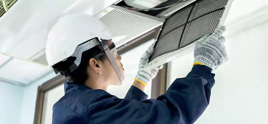 Our Mold & Mildew Removal from Air Ducts Services in Agoura Hills, CA