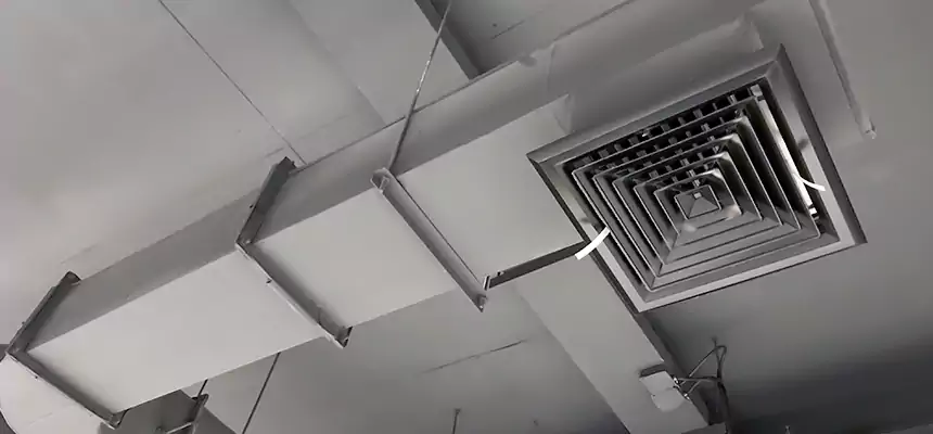 Our Pest Removal From Ducts Services in Agoura Hills, CA