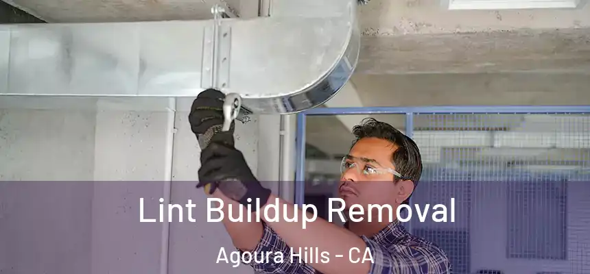  Lint Buildup Removal Agoura Hills - CA