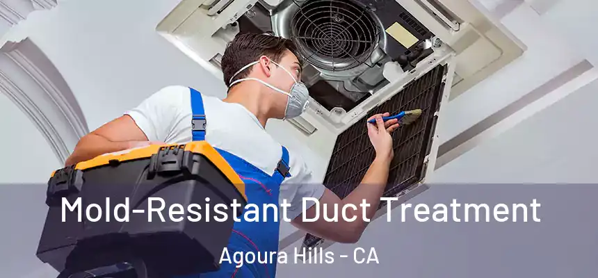 Mold-Resistant Duct Treatment Agoura Hills - CA