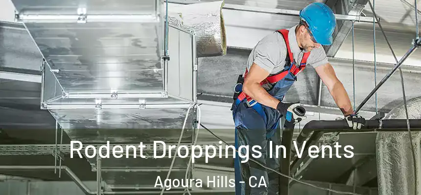 Rodent Droppings In Vents Agoura Hills - CA