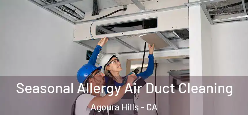  Seasonal Allergy Air Duct Cleaning Agoura Hills - CA