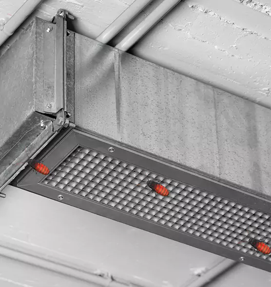 About Air Duct Cockroach Removal in Agoura Hills, CA