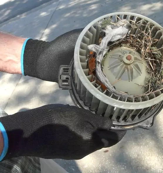 About Air Duct Mice Removal in Agoura Hills, CA