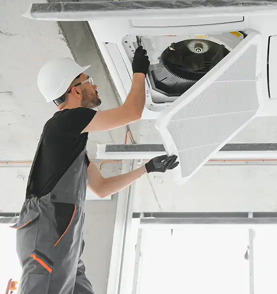 About Air Duct Rodent Removal in Agoura Hills, CA