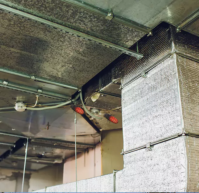 Why Homeowners & Businesses Trust Us in Agoura Hills, CA?