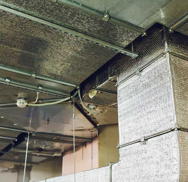 Why Homeowners & Businesses Trust Us in Agoura Hills, CA?